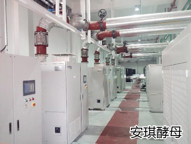 安琪酵母-生物發酵 安琪酵母-生物發酵